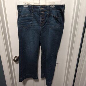 Torrid Jean Size 16
